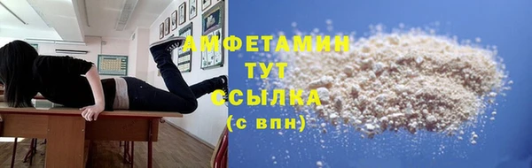 индика Бугульма