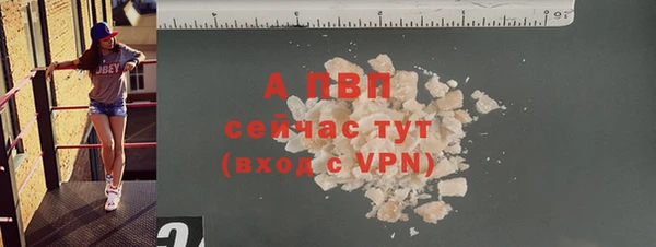 индика Бугульма