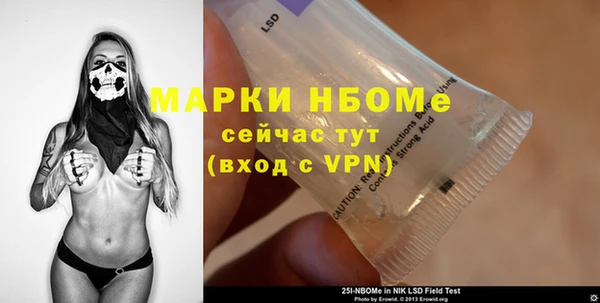 индика Бугульма
