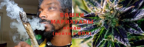 марки lsd Бородино