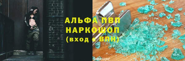 индика Бугульма