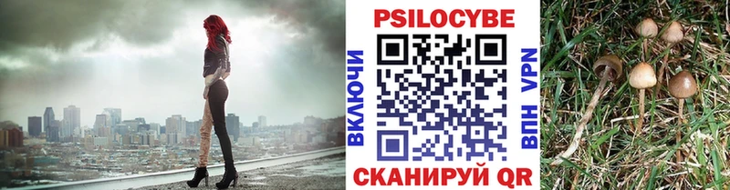 Купить закладки  Нарьян-Мар  Галлюциногенные грибы мухоморы 